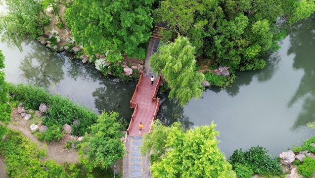 水清岸綠好生態(tài),！航拍濠東綠苑初夏美景